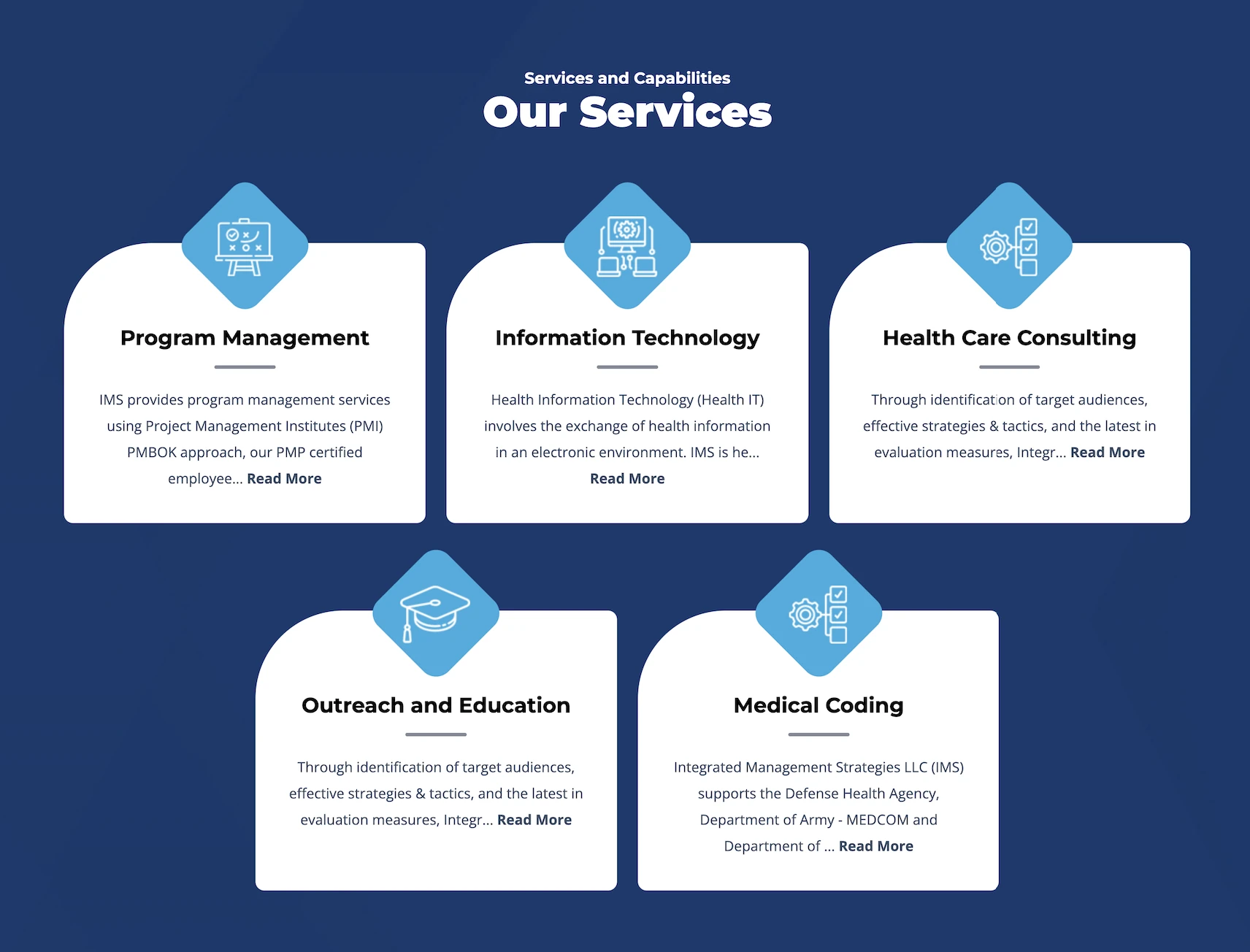 IMS previous website service grid with blue icons and six service panels.